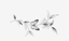 طرح گل و پروانه